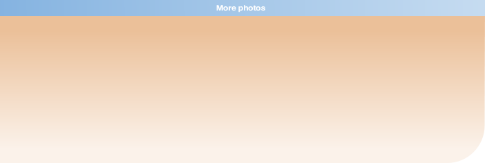 wp87279099.png